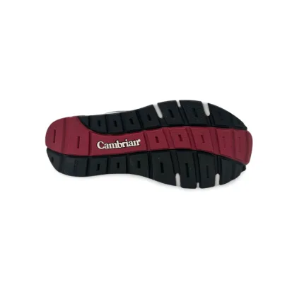 Cambrian Genesis 2 Walking Shoe – Women