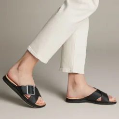 Step June Shell